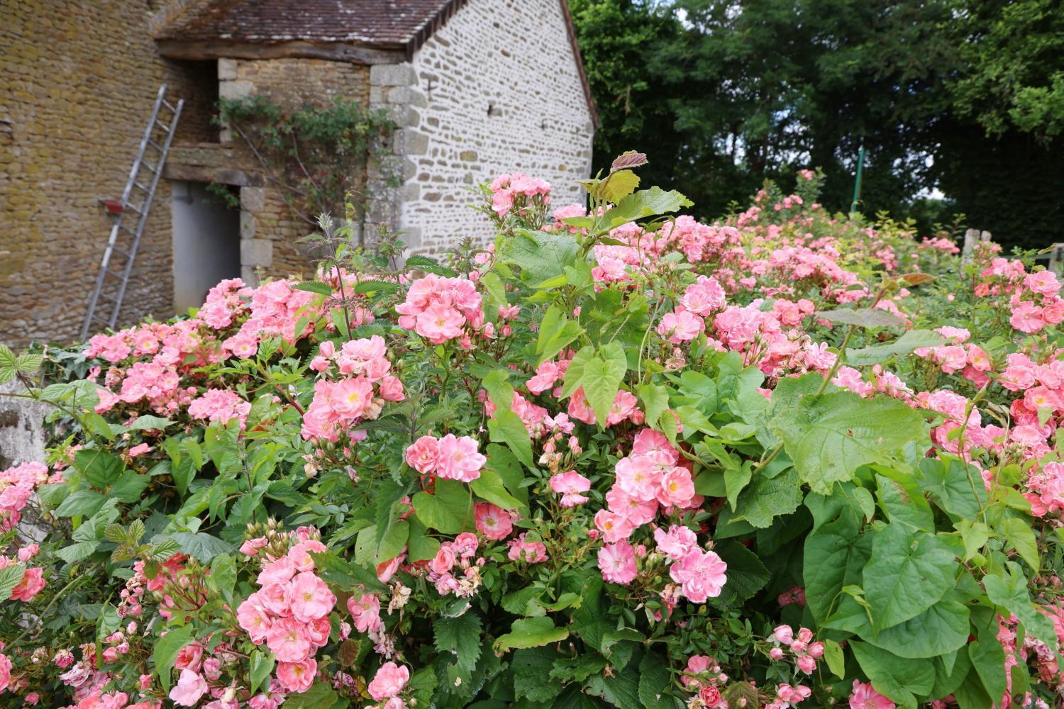 Chambre D'Hote Courtoux Saint-Denis-sur-Sarthon Esterno foto
