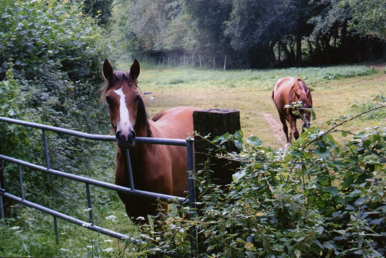 Chambre D'Hote Courtoux Saint-Denis-sur-Sarthon Esterno foto